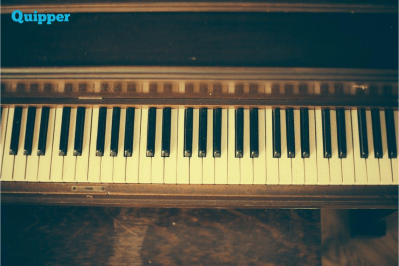 Alat Musik Di Sekitar Kita Alat Musik Tuts