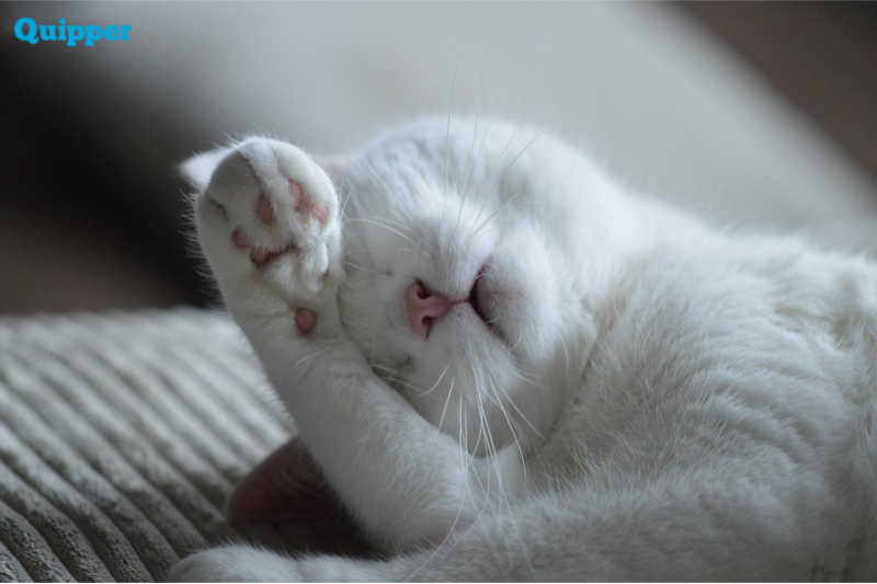 mager adalah