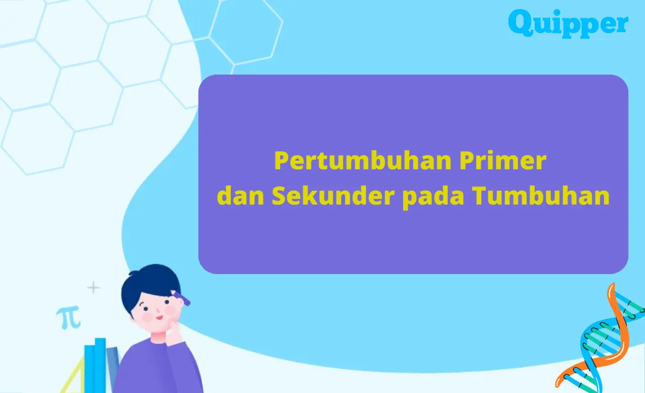 Pembahasan Pertumbuhan Primer dan Sekunder pada Tumbuhan